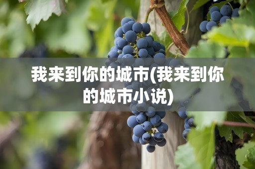 我来到你的城市(我来到你的城市小说)