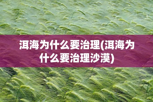 洱海为什么要治理(洱海为什么要治理沙漠)