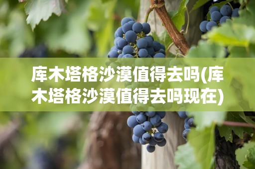 库木塔格沙漠值得去吗(库木塔格沙漠值得去吗现在)