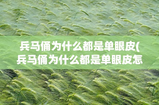兵马俑为什么都是单眼皮(兵马俑为什么都是单眼皮怎么幽默回复)