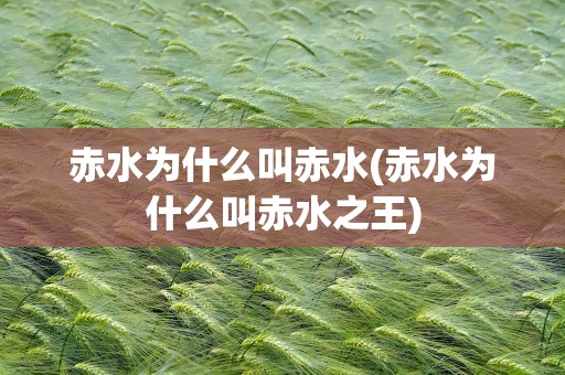 赤水为什么叫赤水(赤水为什么叫赤水之王)
