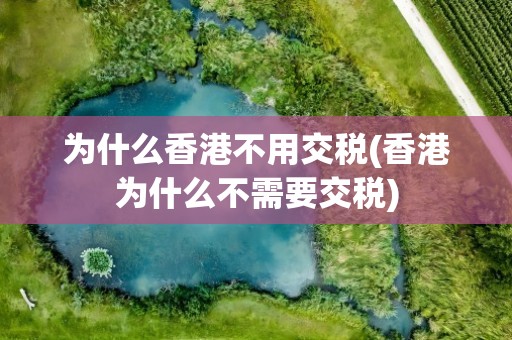 为什么香港不用交税(香港为什么不需要交税)