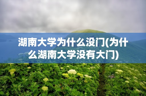 湖南大学为什么没门(为什么湖南大学没有大门)