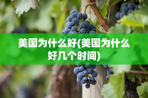 美国为什么好(美国为什么好几个时间)