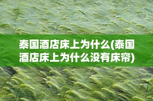 泰国酒店床上为什么(泰国酒店床上为什么没有床帘)
