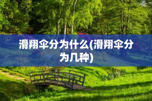滑翔伞分为什么(滑翔伞分为几种)
