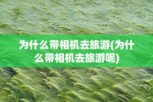 为什么带相机去旅游(为什么带相机去旅游呢)