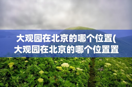 大观园在北京的哪个位置(大观园在北京的哪个位置置啊)