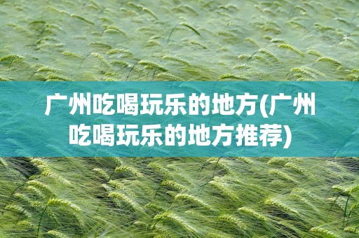 广州吃喝玩乐的地方(广州吃喝玩乐的地方推荐)