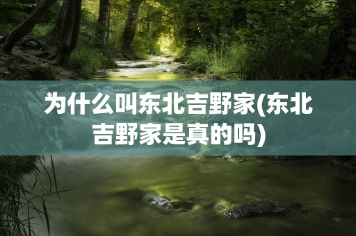 为什么叫东北吉野家(东北吉野家是真的吗)