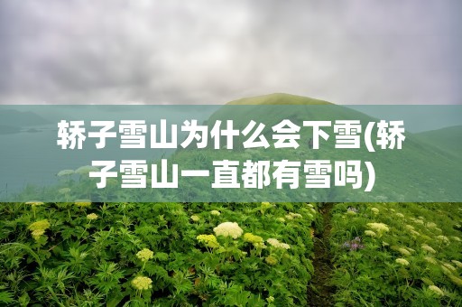 轿子雪山为什么会下雪(轿子雪山一直都有雪吗)