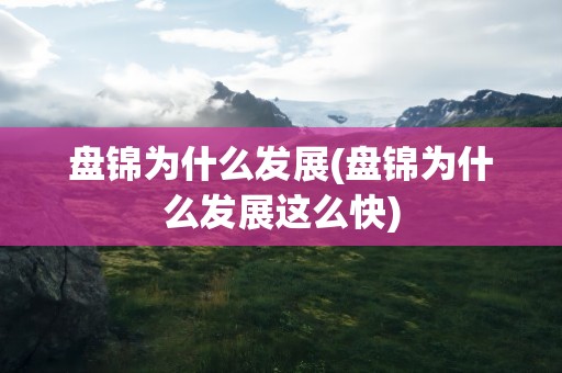 盘锦为什么发展(盘锦为什么发展这么快)