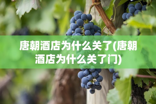 唐朝酒店为什么关了(唐朝酒店为什么关了门)