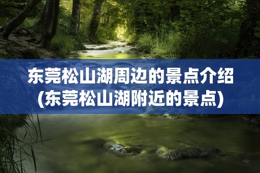东莞松山湖周边的景点介绍(东莞松山湖附近的景点)