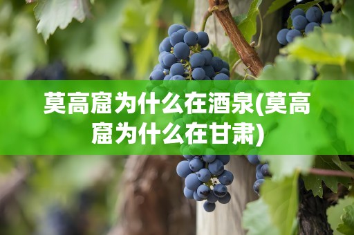莫高窟为什么在酒泉(莫高窟为什么在甘肃)