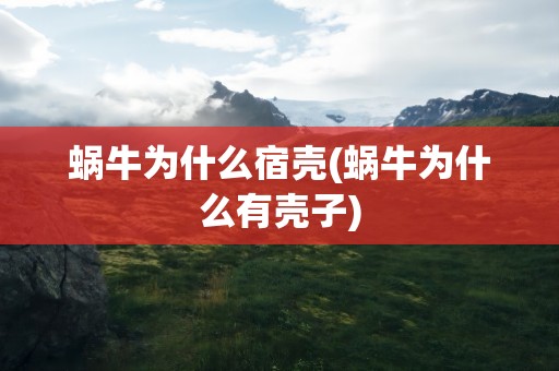 蜗牛为什么宿壳(蜗牛为什么有壳子)