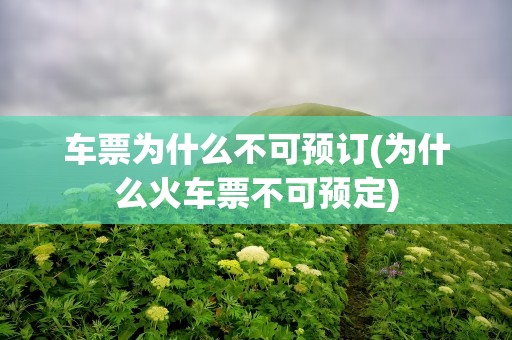 车票为什么不可预订(为什么火车票不可预定)