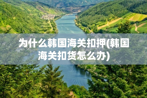 为什么韩国海关扣押(韩国海关扣货怎么办)