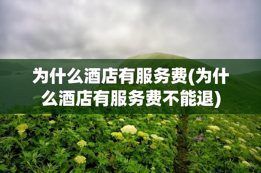 为什么酒店有服务费(为什么酒店有服务费不能退)