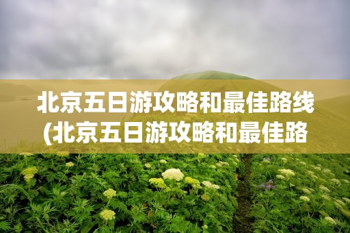 北京五日游攻略和最佳路线(北京五日游攻略和最佳路线图)