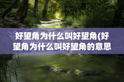 好望角为什么叫好望角(好望角为什么叫好望角的意思)