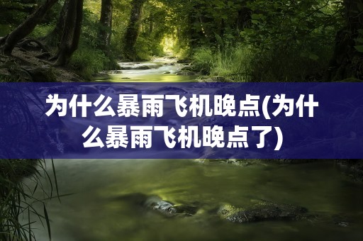 为什么暴雨飞机晚点(为什么暴雨飞机晚点了)