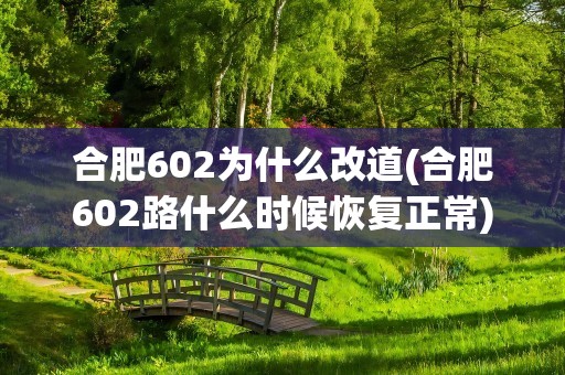 合肥602为什么改道(合肥602路什么时候恢复正常)