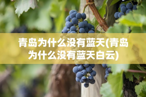 青岛为什么没有蓝天(青岛为什么没有蓝天白云)