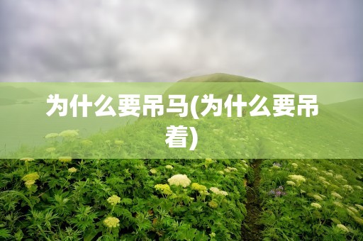为什么要吊马(为什么要吊着)