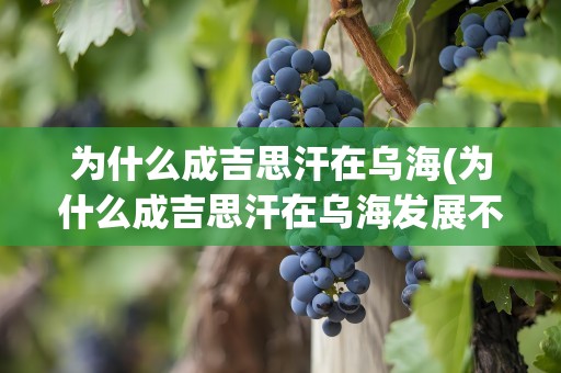 为什么成吉思汗在乌海(为什么成吉思汗在乌海发展不好)
