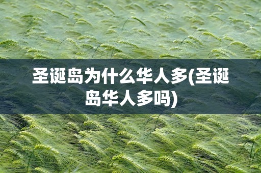 圣诞岛为什么华人多(圣诞岛华人多吗)
