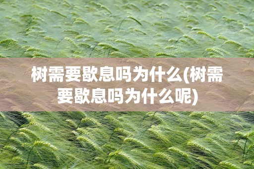 树需要歇息吗为什么(树需要歇息吗为什么呢)