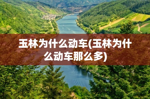 玉林为什么动车(玉林为什么动车那么多)