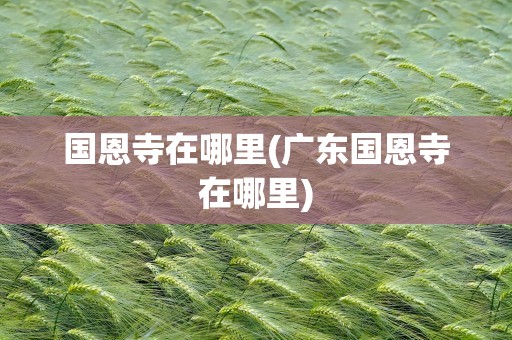 国恩寺在哪里(广东国恩寺在哪里)