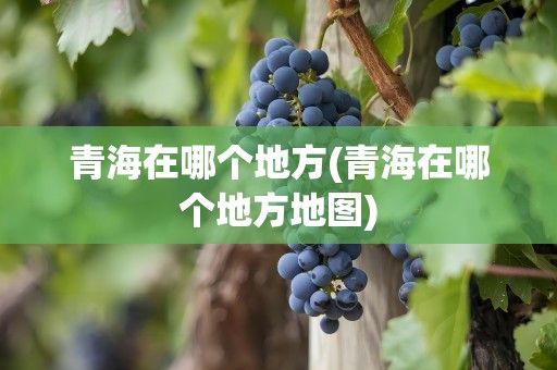 青海在哪个地方(青海在哪个地方地图)