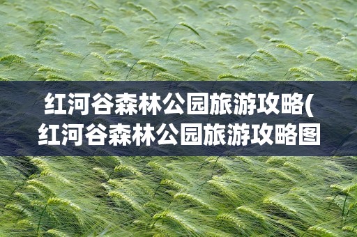 红河谷森林公园旅游攻略(红河谷森林公园旅游攻略图)