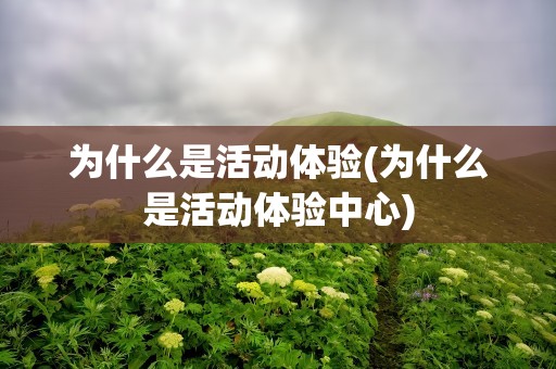 为什么是活动体验(为什么是活动体验中心)