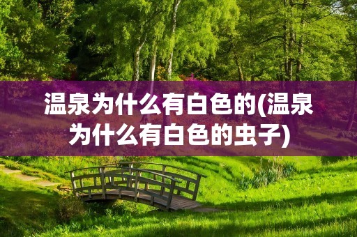 温泉为什么有白色的(温泉为什么有白色的虫子)