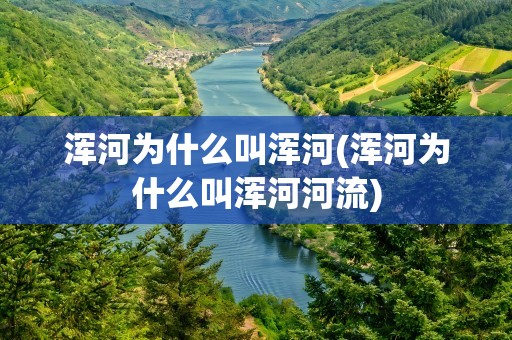 浑河为什么叫浑河(浑河为什么叫浑河河流)