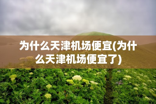 为什么天津机场便宜(为什么天津机场便宜了)