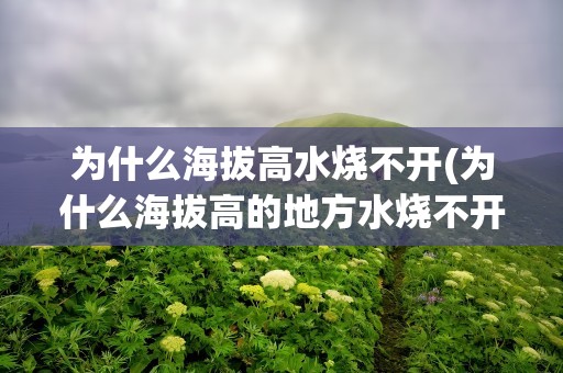 为什么海拔高水烧不开(为什么海拔高的地方水烧不开)