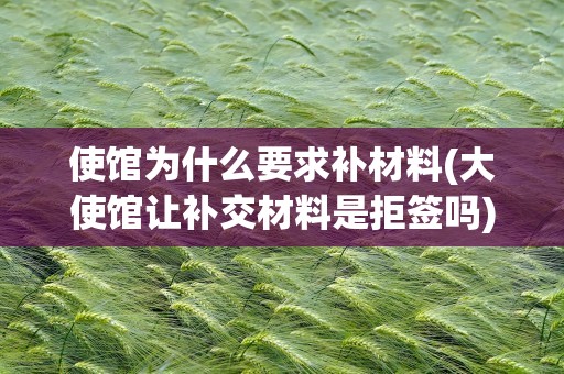 使馆为什么要求补材料(大使馆让补交材料是拒签吗)