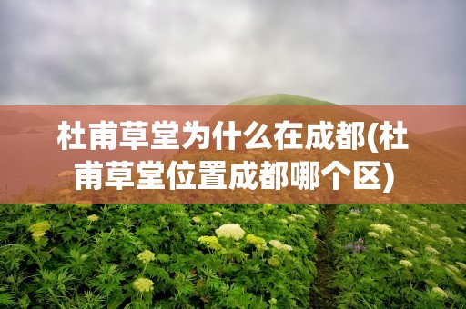 杜甫草堂为什么在成都(杜甫草堂位置成都哪个区)