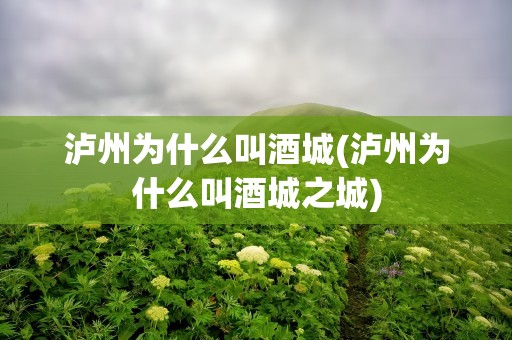 泸州为什么叫酒城(泸州为什么叫酒城之城)