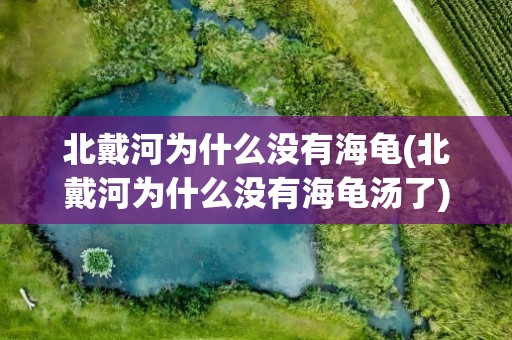 北戴河为什么没有海龟(北戴河为什么没有海龟汤了)