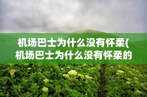 机场巴士为什么没有怀柔(机场巴士为什么没有怀柔的车)