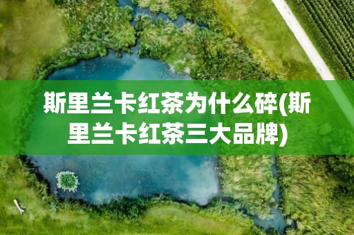 斯里兰卡红茶为什么碎(斯里兰卡红茶三大品牌)