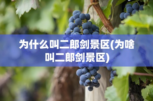 为什么叫二郎剑景区(为啥叫二郎剑景区)