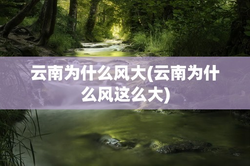 云南为什么风大(云南为什么风这么大)