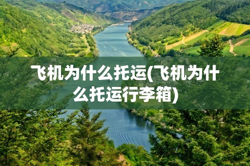 飞机为什么托运(飞机为什么托运行李箱)